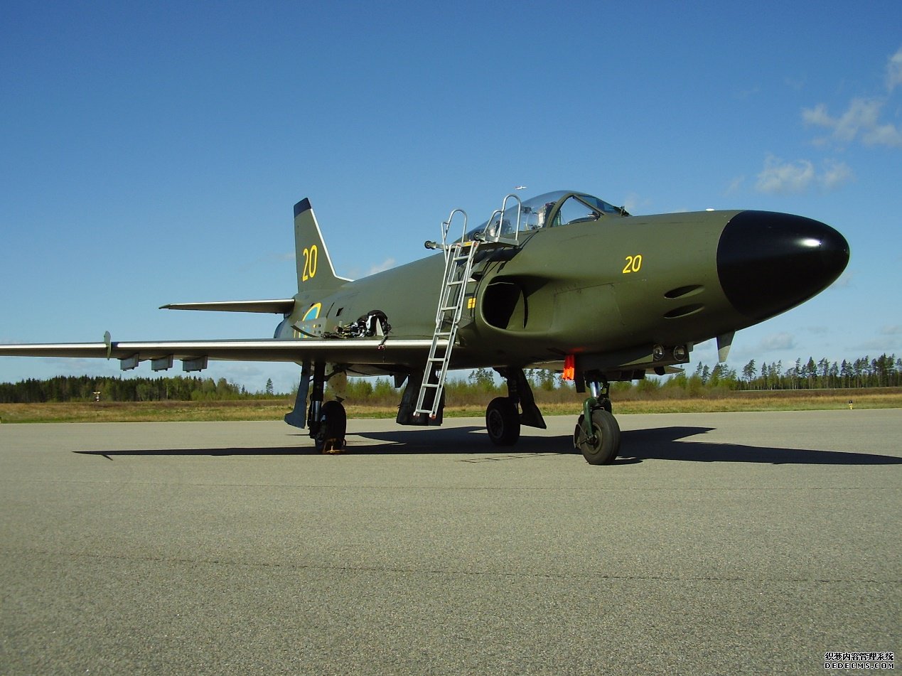 骨骼清奇的瑞典战斗机，空战轰炸样样精通，性能不输美国战机
